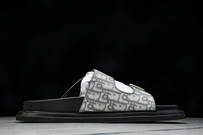 D1R* SLIDE copshoe DR-SLIDE 014