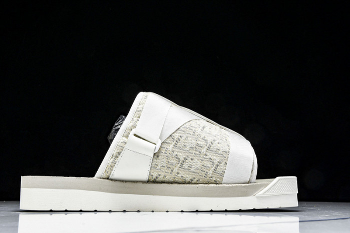 D1R* SLIDE copshoe DR-SLIDE 019