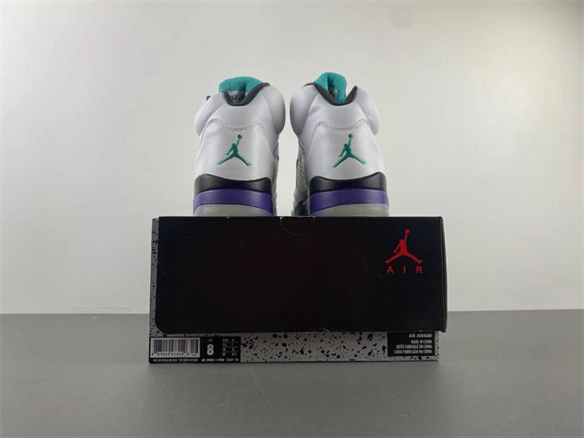 Sleek Air Jordan 5 Retro Grape 136027- 3989