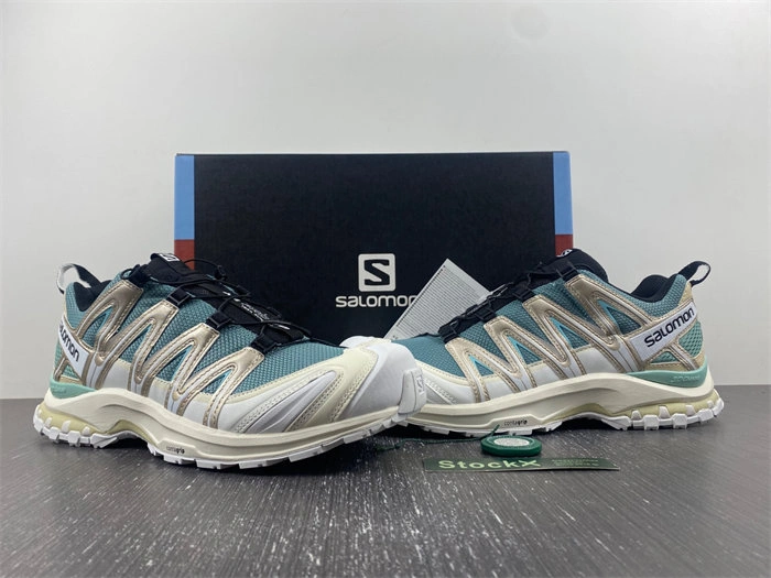 Premium Salomon XT-6 5962